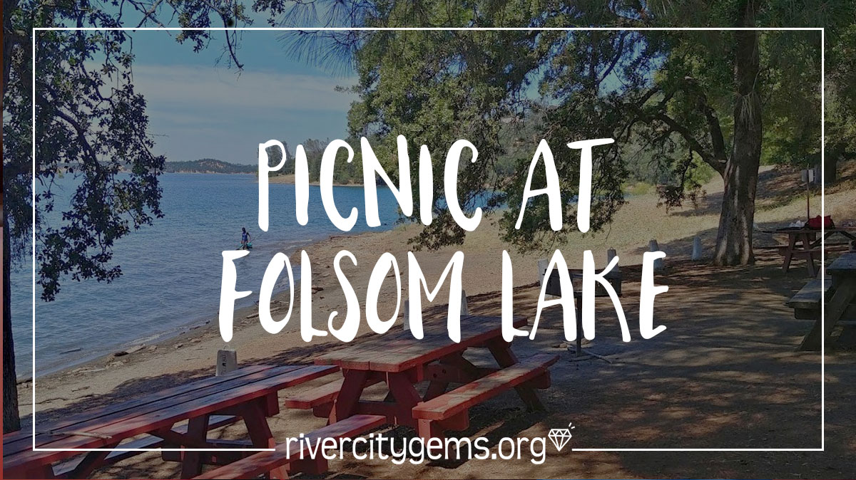 Picnic at Folsom Lake